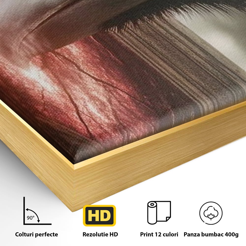 Detaliu al suprafetei: tablou canvas cu un corb si portal rosu, in rama de aluminiu auriu